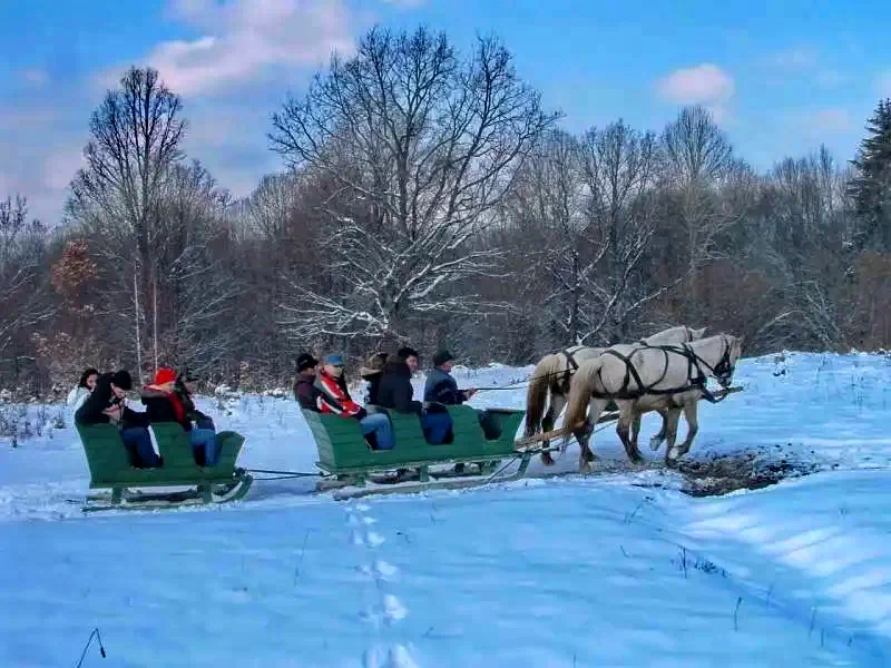 Zetelaki Víztározó Szállás | Üdülőfalu (K0486-93) A kép szerzői jogvédelem alatt állhat. Javasolt a kapcsolatfelvétel a jog tulajdonossal.