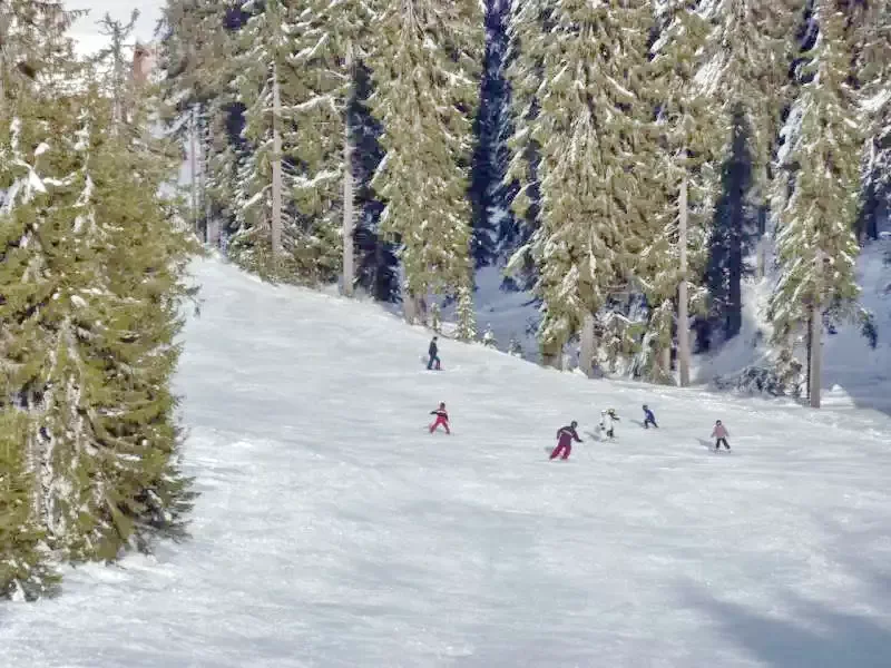 Zetelaki Víztározó Szállás | Kulcsosház (K0486-97) A kép szerzői jogvédelem alatt állhat. Javasolt a kapcsolatfelvétel a jog tulajdonossal.