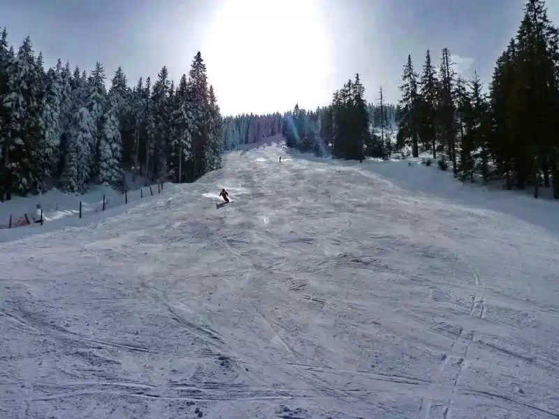 Barajul Zetea Cazare | Cabană (K0486-98) Imaginea poate fi supusă drepturilor de autor. Se recomandă contactarea titularului drepturilor. Barajul Zetea Cazare | Cabană (K0486-98) Imaginea poate fi supusă drepturilor de autor. Se recomandă contactarea titularului drepturilor.