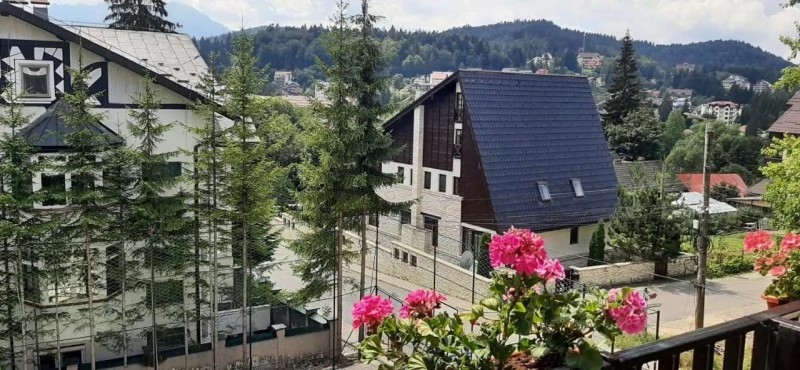 Szállás Predeal - Hotel Mountain Breeze*** | Predeal -  Mountain Breeze Hotel*** . A kép szerzői jogvédelem alatt állhat. Javasolt a kapcsolatfelvétel a jog tulajdonossal.