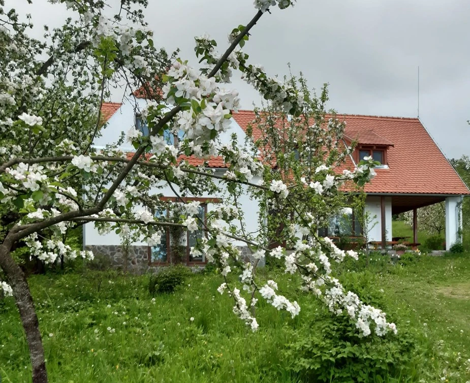 Bikfalva Szállás | Motel (K1530-33) A kép szerzői jogvédelem alatt állhat. Javasolt a kapcsolatfelvétel a jog tulajdonossal.