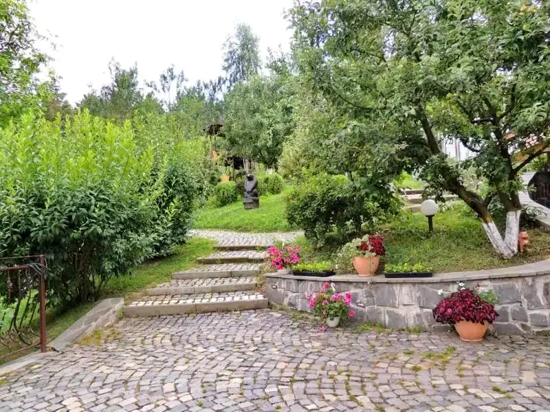 Bikfalva Szállás | Motel (K0647-38) A kép szerzői jogvédelem alatt állhat. Javasolt a kapcsolatfelvétel a jog tulajdonossal.