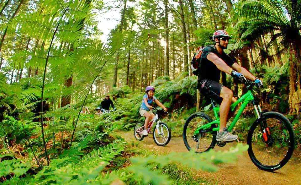 Văliug Cazare | Motel (K0905-61) Imaginea poate fi supusă drepturilor de autor. Se recomandă contactarea titularului drepturilor.