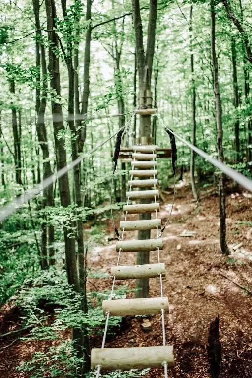 Ferencfalva Szállás | Panzió (K0905-64) A kép szerzői jogvédelem alatt állhat. Javasolt a kapcsolatfelvétel a jog tulajdonossal. Ferencfalva Szállás | Panzió (K0905-64) A kép szerzői jogvédelem alatt állhat. Javasolt a kapcsolatfelvétel a jog tulajdonossal.