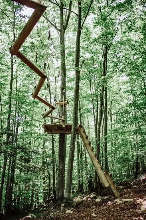 Ferencfalva Szállás | Panzió (K0905-66) A kép szerzői jogvédelem alatt állhat. Javasolt a kapcsolatfelvétel a jog tulajdonossal. Ferencfalva Szállás | Panzió (K0905-66) A kép szerzői jogvédelem alatt állhat. Javasolt a kapcsolatfelvétel a jog tulajdonossal.