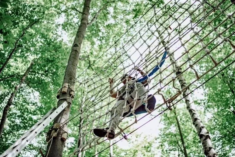 Ferencfalva Szállás | Motel (K0905-67) A kép szerzői jogvédelem alatt állhat. Javasolt a kapcsolatfelvétel a jog tulajdonossal.