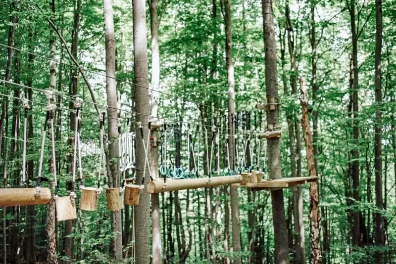 Ferencfalva Szállás | Motel (K0905-68) A kép szerzői jogvédelem alatt állhat. Javasolt a kapcsolatfelvétel a jog tulajdonossal.