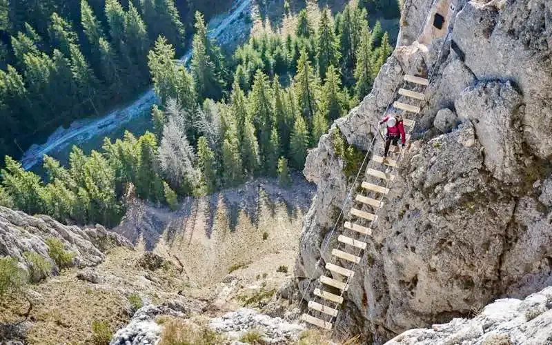Excursii din zona Excursii din zona