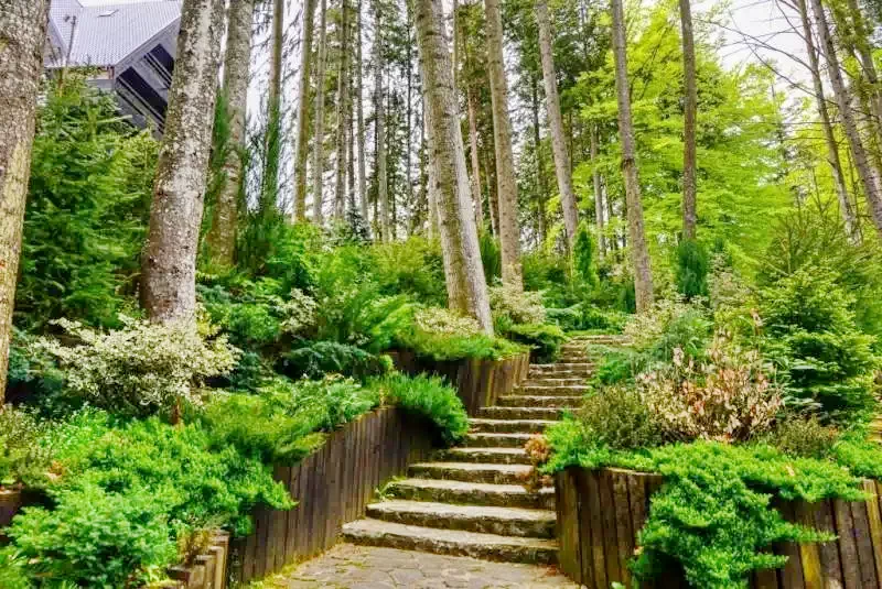  Szállás | Vendégház (K0525-6) A kép szerzői jogvédelem alatt állhat. Javasolt a kapcsolatfelvétel a jog tulajdonossal.