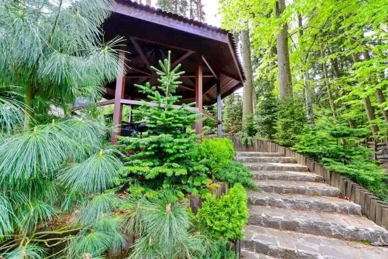 Sinaia Cazare | Casă de oaspeți (K0525-43) Imaginea poate fi supusă drepturilor de autor. Se recomandă contactarea titularului drepturilor.