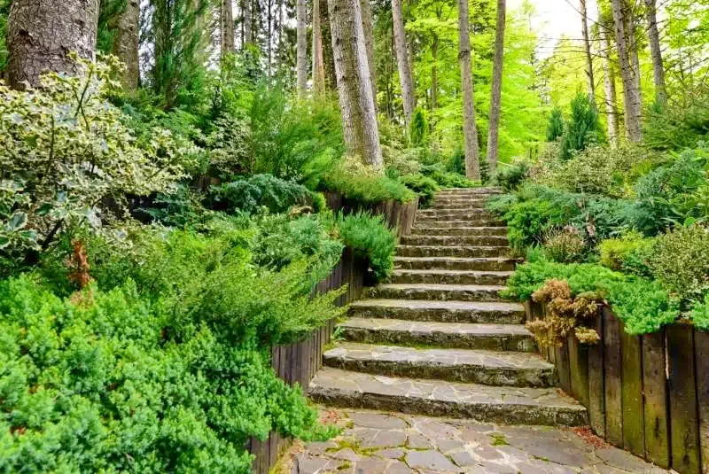 Cazare Sinaia - Hotel Smart**** | Szinaja -  Smart Hotel****. Imaginea poate fi supusă drepturilor de autor. Se recomandă contactarea titularului drepturilor.