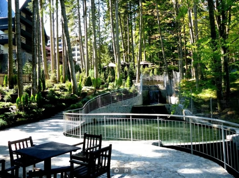 Cazare Sinaia - Hotel Smart**** | Szinaja -  Smart Hotel****. Imaginea poate fi supusă drepturilor de autor. Se recomandă contactarea titularului drepturilor.