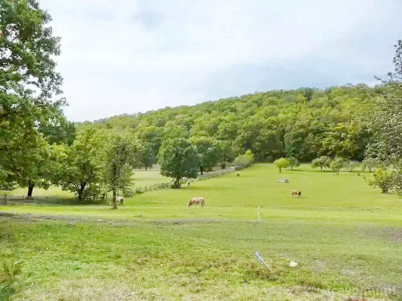 Barajul Zetea Cazare | Cabană (K1185-26) Imaginea poate fi supusă drepturilor de autor. Se recomandă contactarea titularului drepturilor.