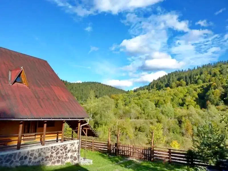 Barajul Zetea Cazare | Sat de vacanță (K0496-6) Imaginea poate fi supusă drepturilor de autor. Se recomandă contactarea titularului drepturilor.