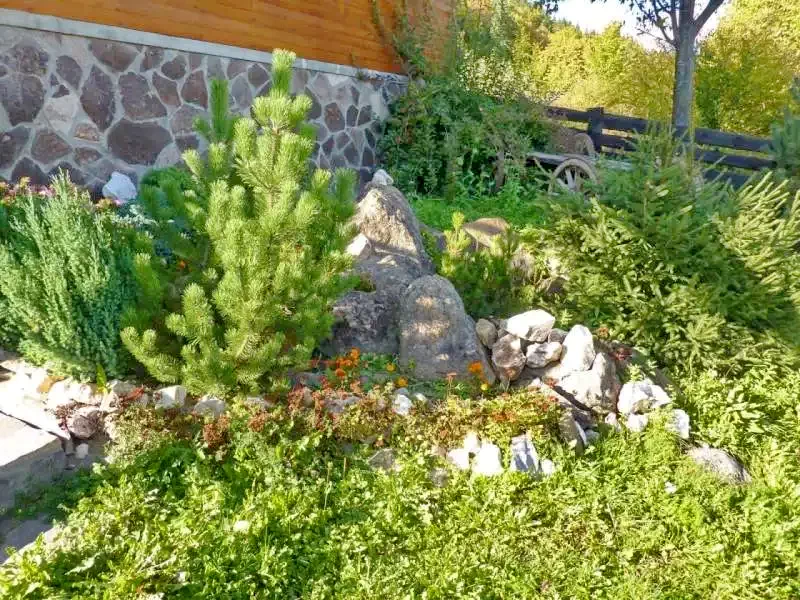 Zetelaki Víztározó Szállás | Kulcsosház (K0496-11) A kép szerzői jogvédelem alatt állhat. Javasolt a kapcsolatfelvétel a jog tulajdonossal. Zetelaki Víztározó Szállás | Kulcsosház (K0496-11) A kép szerzői jogvédelem alatt állhat. Javasolt a kapcsolatfelvétel a jog tulajdonossal.