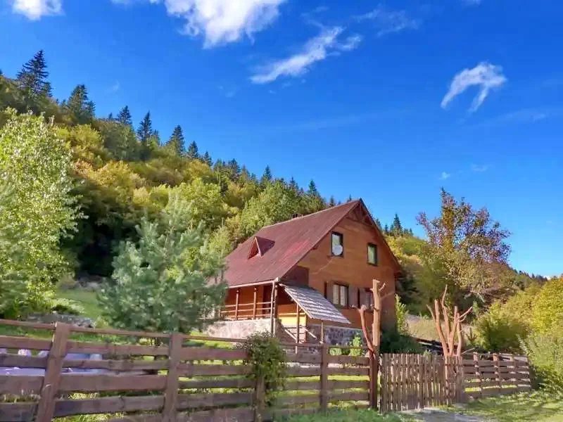 Barajul Zetea Cazare | Sat de vacanță (K0496-43) Imaginea poate fi supusă drepturilor de autor. Se recomandă contactarea titularului drepturilor.