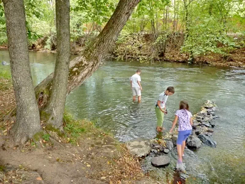 Szállás Zetea - Casa la cheie Nagy Lak III-VII. *** | Zeteváralja - Nagy Lak III-VII. Kulcsosházak ***. A kép szerzői jogvédelem alatt állhat. Javasolt a kapcsolatfelvétel a jog tulajdonossal.