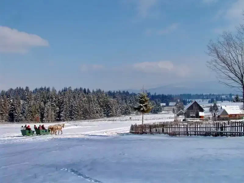 Zeteváralja Szállás | Üdülőfalu (K0499-100) A kép szerzői jogvédelem alatt állhat. Javasolt a kapcsolatfelvétel a jog tulajdonossal.