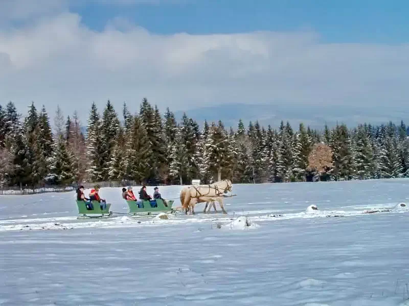 Zeteváralja Szállás | Üdülőfalu (K0499-101) A kép szerzői jogvédelem alatt állhat. Javasolt a kapcsolatfelvétel a jog tulajdonossal.