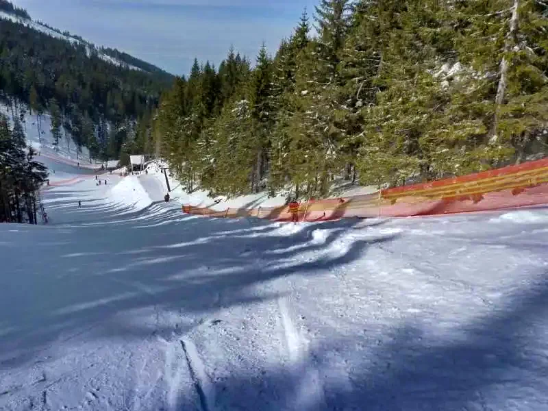 Szállás Zetea - Casa la cheie Nagy Lak III-VII. *** | Zeteváralja - Nagy Lak III-VII. Kulcsosházak ***. A kép szerzői jogvédelem alatt állhat. Javasolt a kapcsolatfelvétel a jog tulajdonossal.