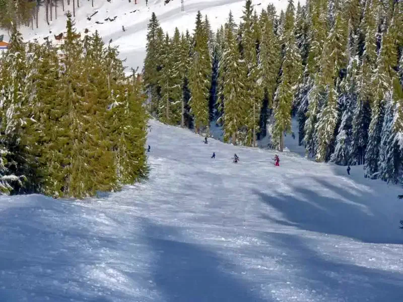 Zeteváralja Szállás | Üdülőfalu (K0499-105) A kép szerzői jogvédelem alatt állhat. Javasolt a kapcsolatfelvétel a jog tulajdonossal.