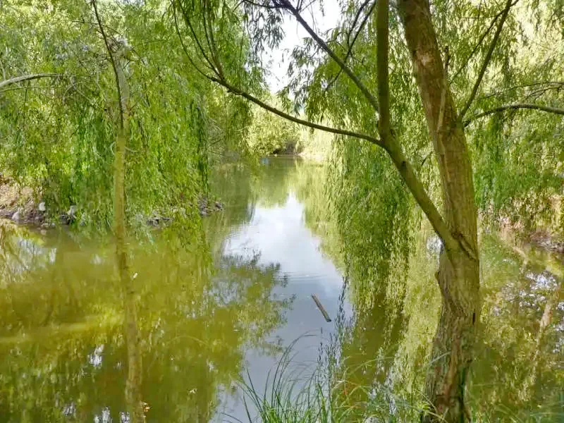 Sub Cetate Cazare | Sat de vacanță (K0516-23) Imaginea poate fi supusă drepturilor de autor. Se recomandă contactarea titularului drepturilor.