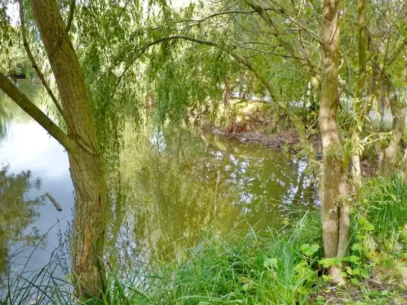 Zeteváralja Szállás | Üdülőfalu (K0516-26) A kép szerzői jogvédelem alatt állhat. Javasolt a kapcsolatfelvétel a jog tulajdonossal.