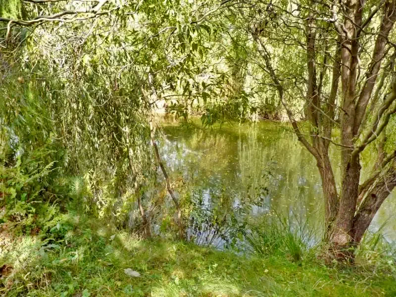 Sub Cetate Cazare | Sat de vacanță (K0516-27) Imaginea poate fi supusă drepturilor de autor. Se recomandă contactarea titularului drepturilor.