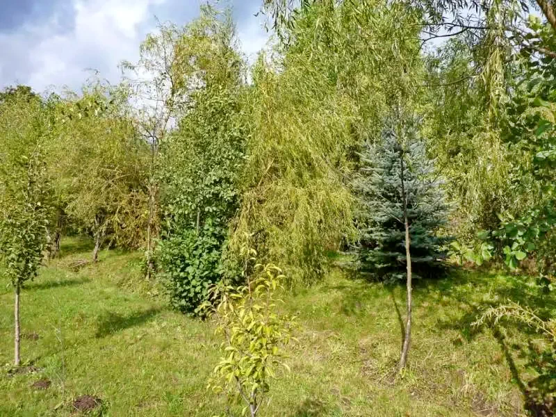 Cazare Sub Cetate - Casa la Cheie György László | Zeteváralja - György László Kulcsosház. Imaginea poate fi supusă drepturilor de autor. Se recomandă contactarea titularului drepturilor.