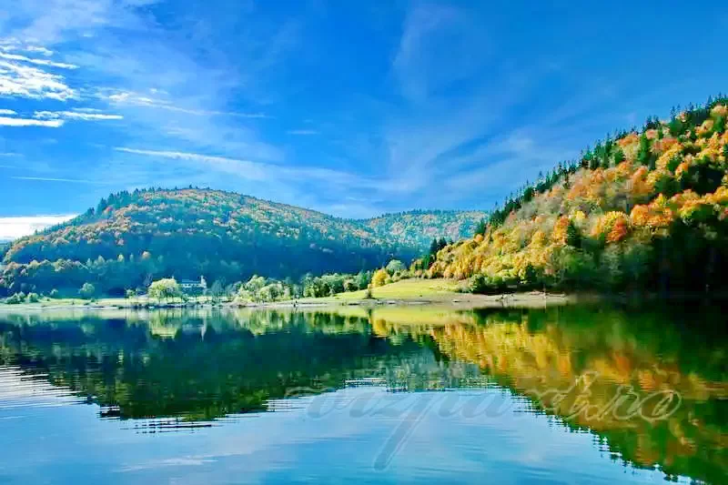 Sub Cetate Cazare | Sat de vacanță (K0717-26) Imaginea poate fi supusă drepturilor de autor. Se recomandă contactarea titularului drepturilor.