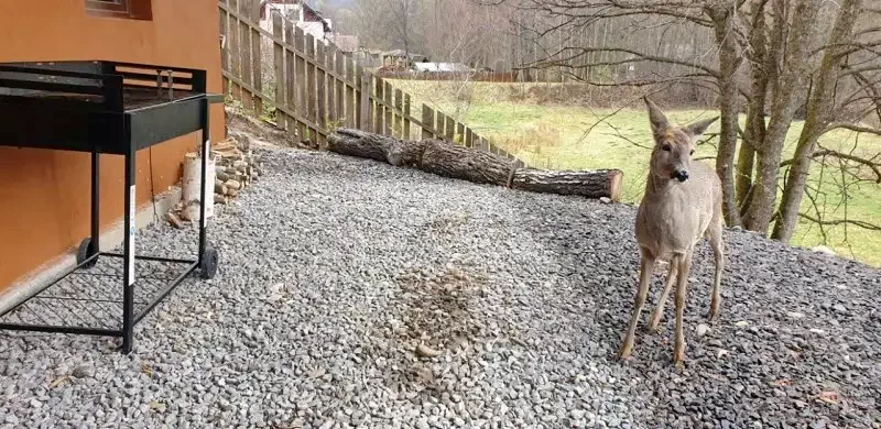 Zeteváralja Szállás | Üdülőfalu (K1390-24) A kép szerzői jogvédelem alatt állhat. Javasolt a kapcsolatfelvétel a jog tulajdonossal.