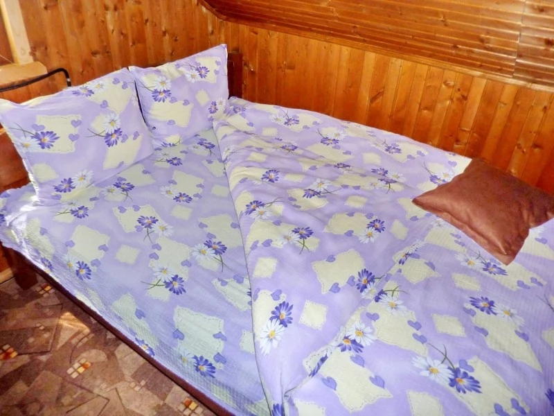 Vărșag Cazare | Cabană (K0022-9) Imaginea poate fi supusă drepturilor de autor. Se recomandă contactarea titularului drepturilor. Vărșag Cazare | Cabană (K0022-9) Imaginea poate fi supusă drepturilor de autor. Se recomandă contactarea titularului drepturilor.