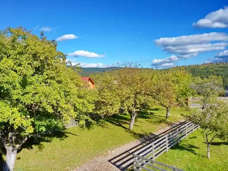 Székelyvarság Szállás | Motel (K0545-8) A kép szerzői jogvédelem alatt állhat. Javasolt a kapcsolatfelvétel a jog tulajdonossal.