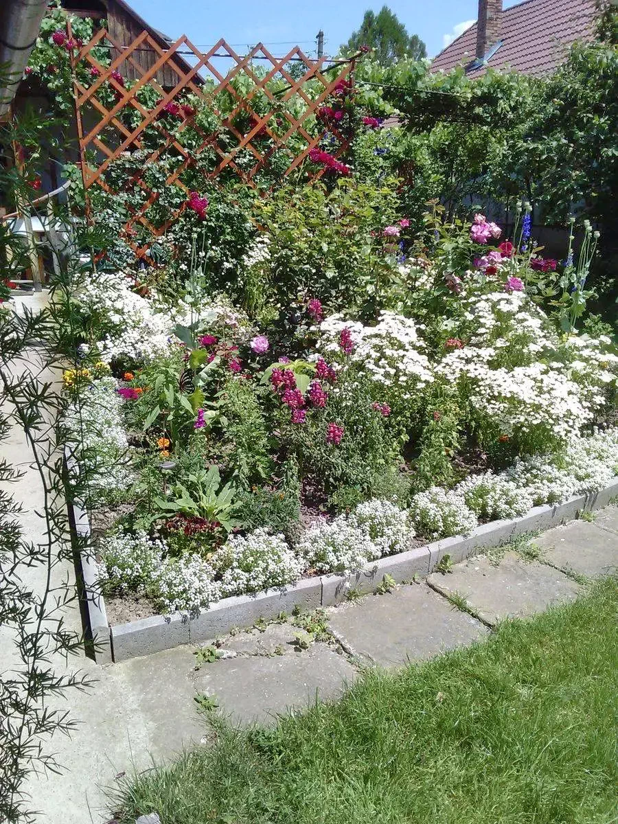 Mugeni Cazare | Hotel**** (K0159-12) Imaginea poate fi supusă drepturilor de autor. Se recomandă contactarea titularului drepturilor.