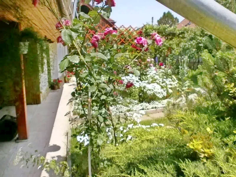 Bögöz Szállás | Vendégház (K0159-26) A kép szerzői jogvédelem alatt állhat. Javasolt a kapcsolatfelvétel a jog tulajdonossal.