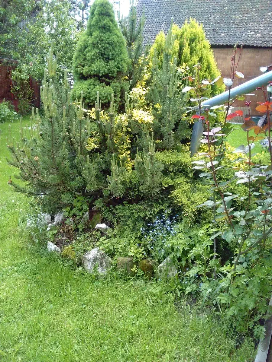 Bögöz Szállás | Vendégház (K0159-50) A kép szerzői jogvédelem alatt állhat. Javasolt a kapcsolatfelvétel a jog tulajdonossal.