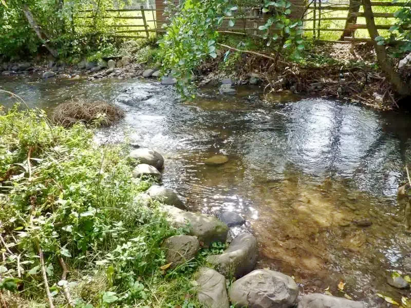 Izvoare Cazare | Cabană (K0390-10) Imaginea poate fi supusă drepturilor de autor. Se recomandă contactarea titularului drepturilor.