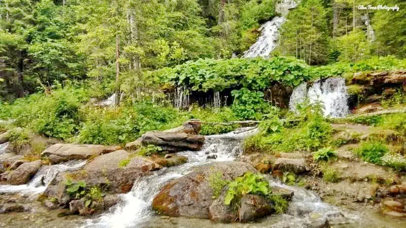 Izvoare Cazare | Casă de apartamente (K0403-30) Imaginea poate fi supusă drepturilor de autor. Se recomandă contactarea titularului drepturilor.