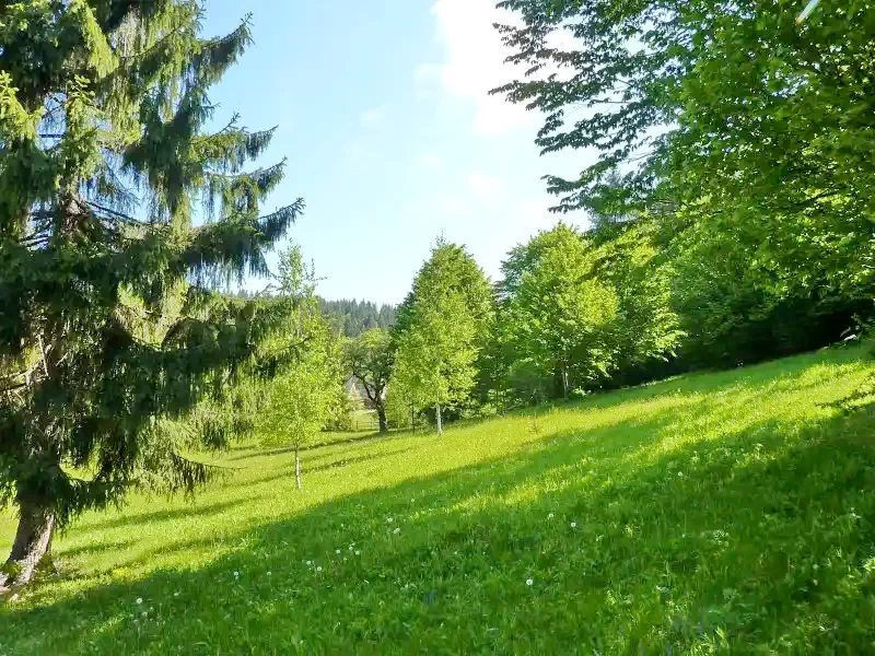 Izvoare Cazare | Sat de vacanță (K0723-32) Imaginea poate fi supusă drepturilor de autor. Se recomandă contactarea titularului drepturilor.