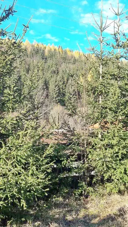 Cazare Izvoare - Cabana Hunor-Magor | Ivó - Hunor-Magor Kulcsosház, Kőfalvi Attila. Imaginea poate fi supusă drepturilor de autor. Se recomandă contactarea titularului drepturilor.