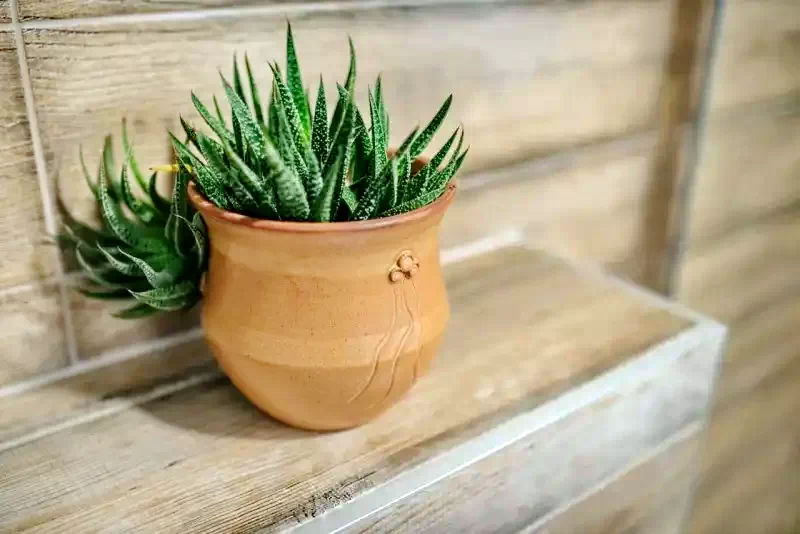 Izvoare Cazare | Sat de vacanță (K1398-12) Imaginea poate fi supusă drepturilor de autor. Se recomandă contactarea titularului drepturilor.