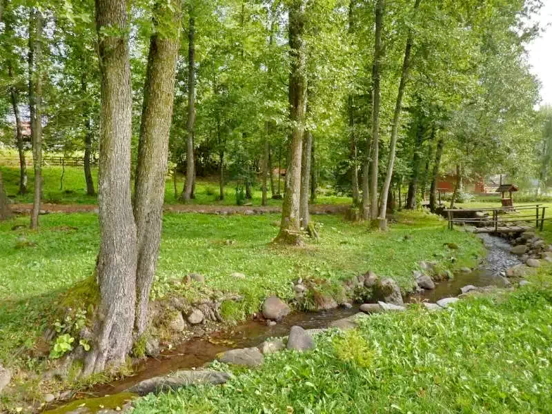 Barajul Zetea Cazare | Sat de vacanță (K0389-23) Imaginea poate fi supusă drepturilor de autor. Se recomandă contactarea titularului drepturilor.