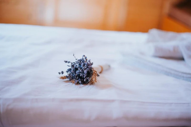 Barajul Zetea Cazare | Cabană (K0619-36) Imaginea poate fi supusă drepturilor de autor. Se recomandă contactarea titularului drepturilor.