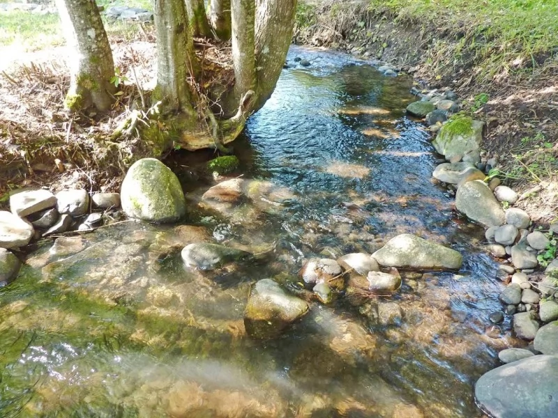 Barajul Zetea Cazare | Cabană (K0907-24) Imaginea poate fi supusă drepturilor de autor. Se recomandă contactarea titularului drepturilor.