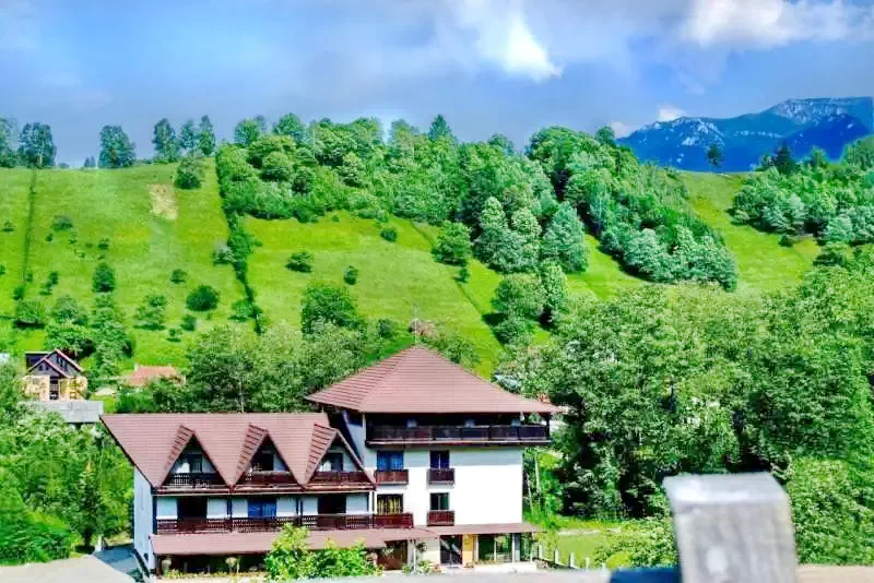 Törcsvár Szállás | Motel (K1361-40) A kép szerzői jogvédelem alatt állhat. Javasolt a kapcsolatfelvétel a jog tulajdonossal.