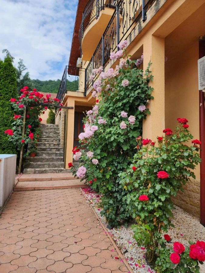 Orșova Cazare | Motel (K1558-1) Imaginea poate fi supusă drepturilor de autor. Se recomandă contactarea titularului drepturilor.