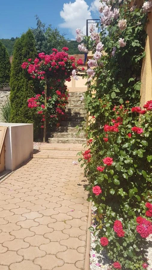 Orsova Szállás | Panzió (K1558-16) A kép szerzői jogvédelem alatt állhat. Javasolt a kapcsolatfelvétel a jog tulajdonossal.