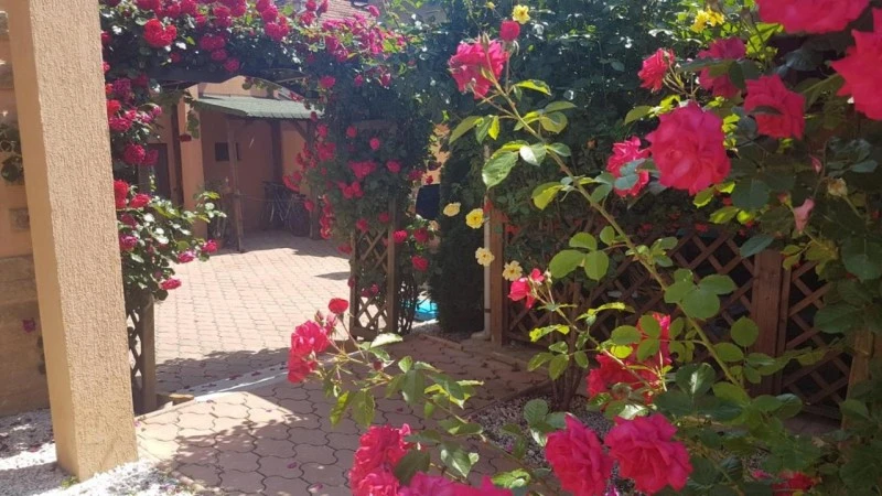 Orșova Cazare | Pensiune (K1558-28) Imaginea poate fi supusă drepturilor de autor. Se recomandă contactarea titularului drepturilor. Orșova Cazare | Pensiune (K1558-28) Imaginea poate fi supusă drepturilor de autor. Se recomandă contactarea titularului drepturilor.