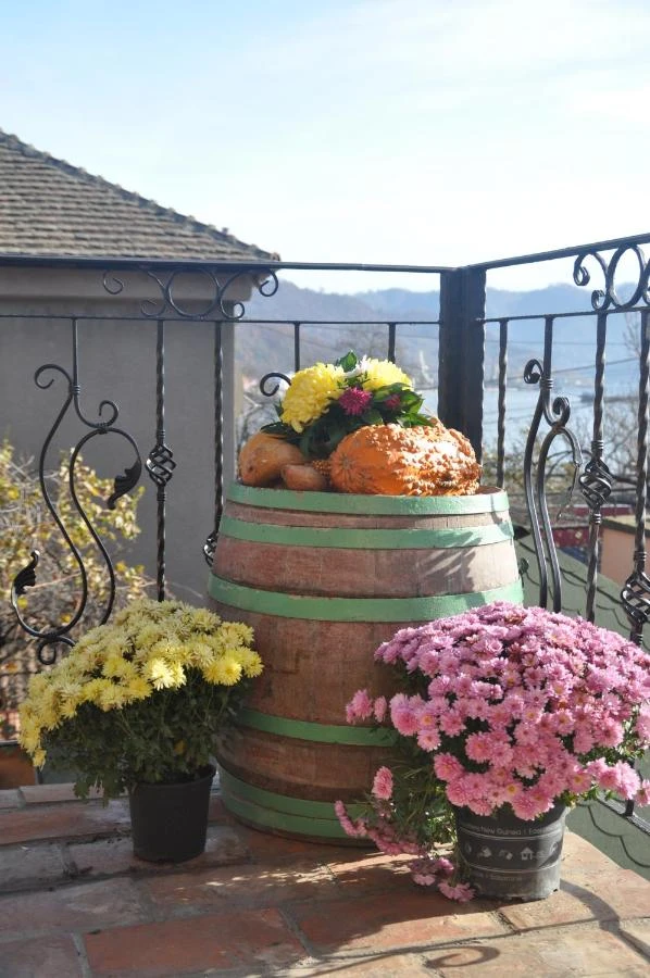 Orșova Cazare | Pensiune (K1558-29) Imaginea poate fi supusă drepturilor de autor. Se recomandă contactarea titularului drepturilor. Orșova Cazare | Pensiune (K1558-29) Imaginea poate fi supusă drepturilor de autor. Se recomandă contactarea titularului drepturilor.