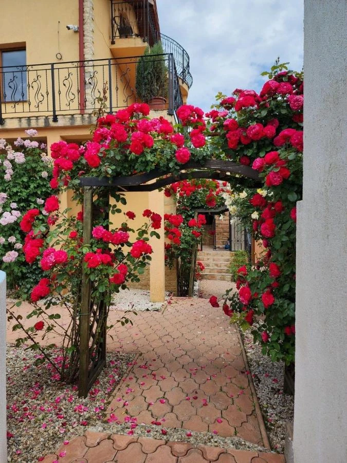 Orșova Cazare | Pensiune (K1558-38) Imaginea poate fi supusă drepturilor de autor. Se recomandă contactarea titularului drepturilor. Orșova Cazare | Pensiune (K1558-38) Imaginea poate fi supusă drepturilor de autor. Se recomandă contactarea titularului drepturilor.